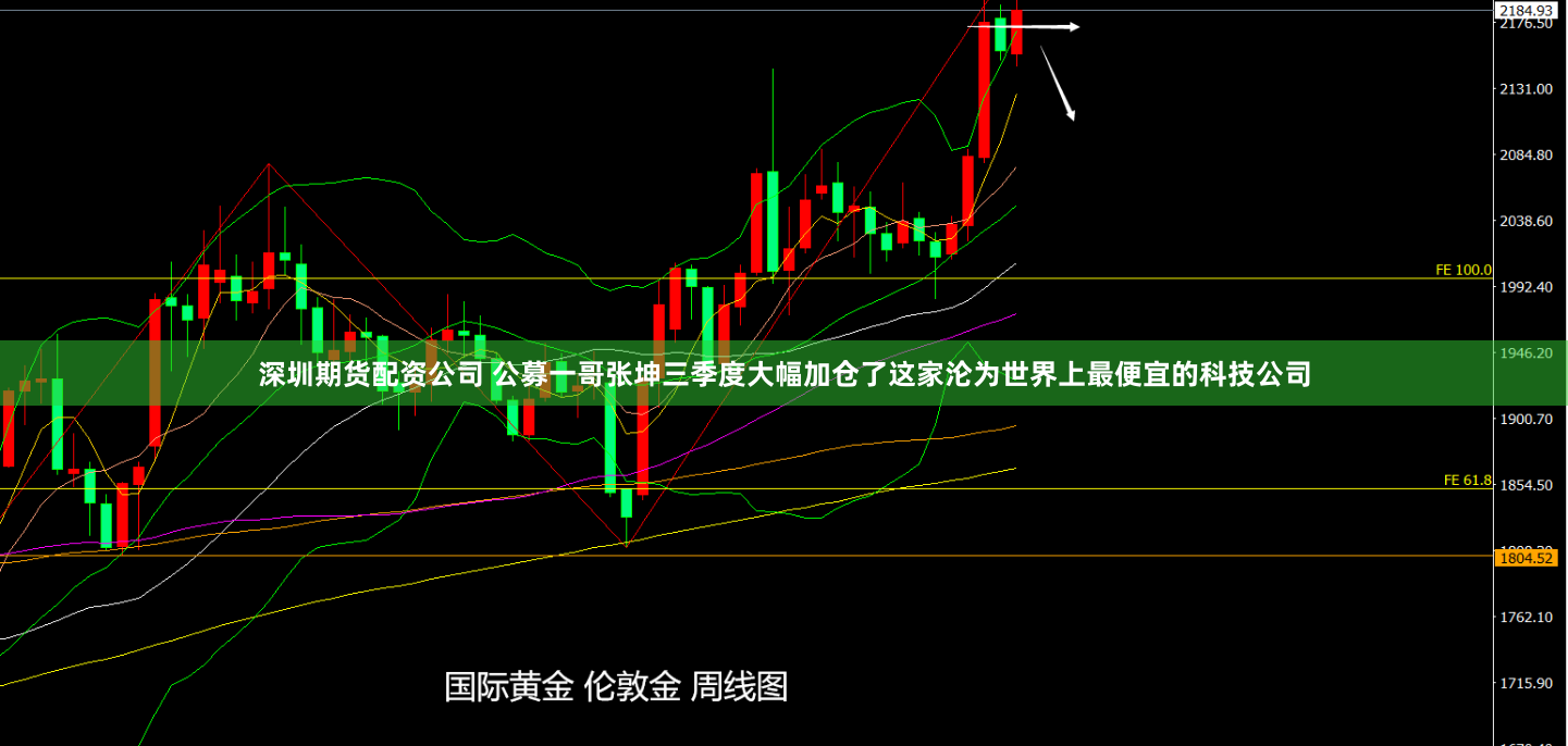 深圳期货配资公司 公募一哥张坤三季度大幅加仓了这家沦为世界上最便宜的科技公司