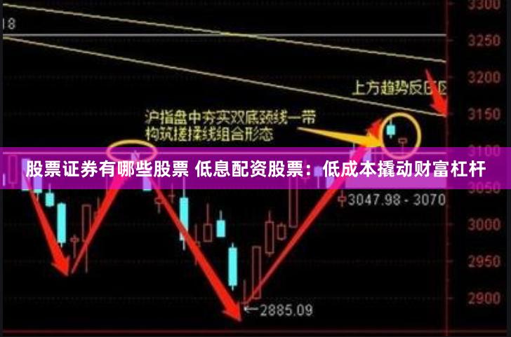 股票证券有哪些股票 低息配资股票：低成本撬动财富杠杆